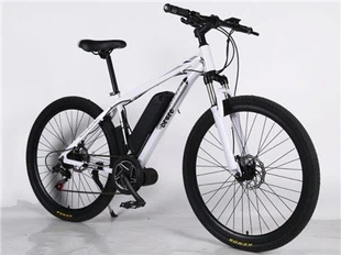 Elektriskais velosipēds ar pedāļa palīgsistēmu