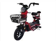 Viegls elektriskais velosipēds par pieņemamu cenu