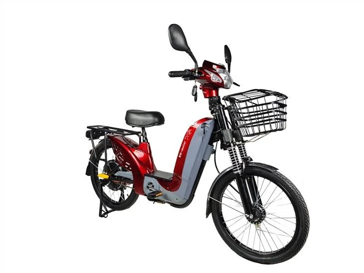 Assist Hybrid Electric Bike Family Use