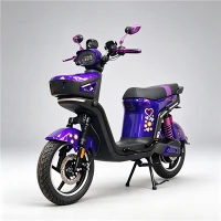 Rūpnīcas tiešais 1500 W elektriskais motocikls ar slēgtu priekšējo glabātuvi